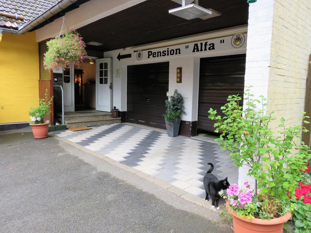 Pension Alfa Sankt Andreasberg Luaran gambar